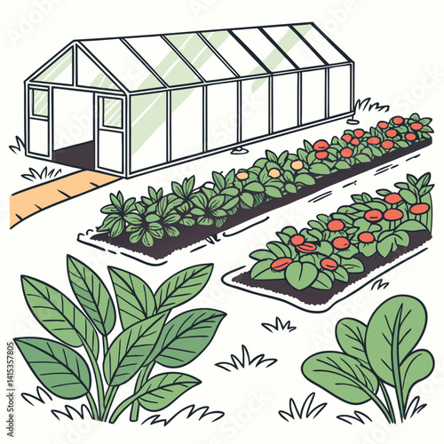 Greenhouse With Growing Vegetables And Plants Illustration For Gardening Concepts