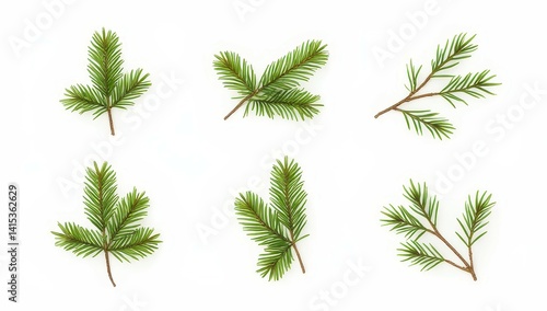 Collection of Fir Tree Branches Isolated on White Background