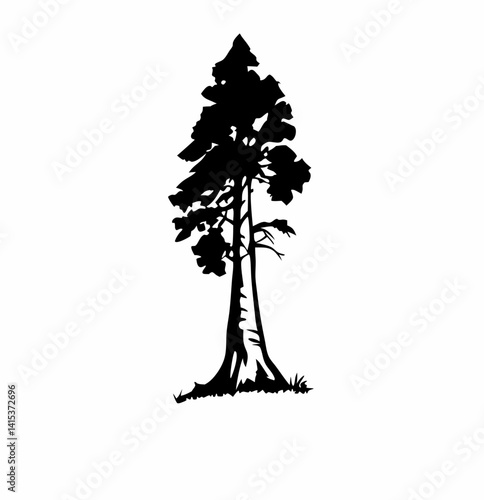 Redwood tree vector silhouette, black and white