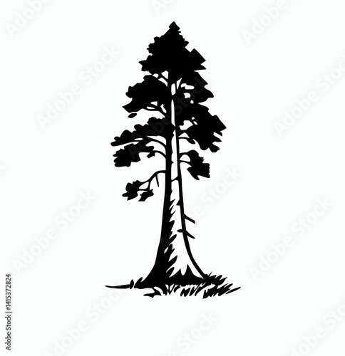 Redwood tree vector silhouette, black and white