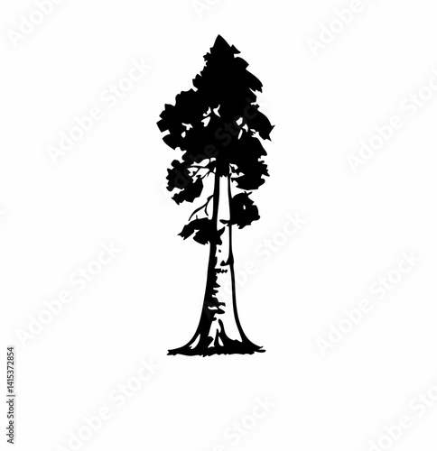 Redwood tree vector silhouette, black and white