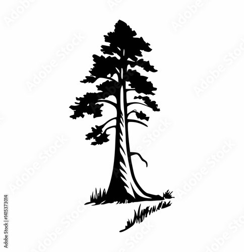 Redwood tree vector silhouette black and white