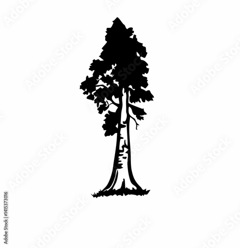 Redwood tree vector silhouette, black and white