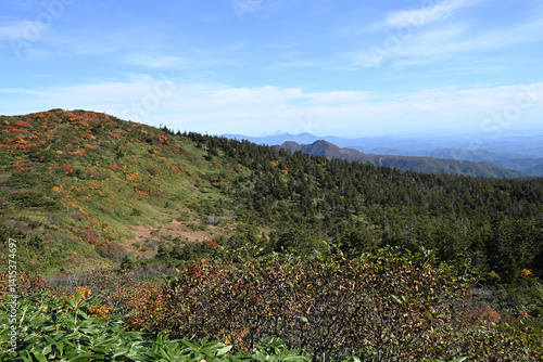 Obraz na płótnie Zao mountain ridge, Miyagi, Tochigi, Japan w salonie