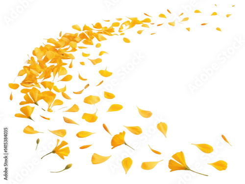 Bright marigold flower petals gracefully swirl in beautiful display, creating vibrant and cheerful atmosphere