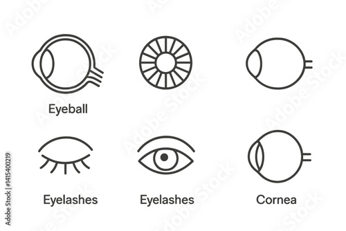 outline vector icons of cat anatomy: paw print, ear shape, tail types, whiskers, cat eye, nose triangle, body outline, claw shape. set of line style icons in a modern, minimalist design.