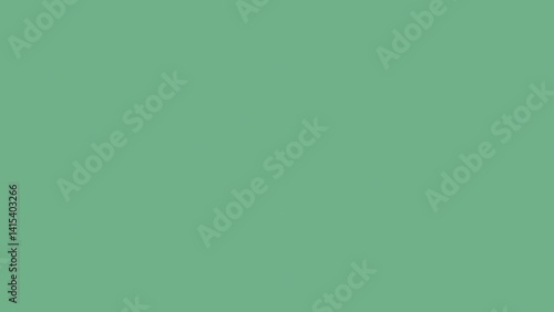 Solid sage green background (12)