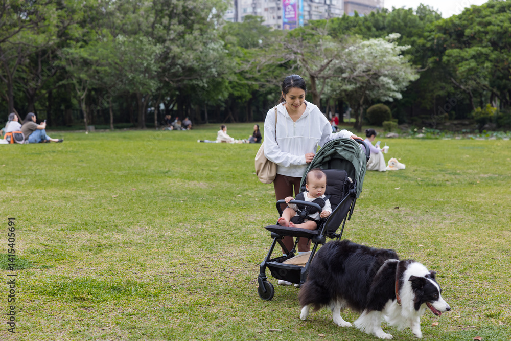 Woman and Son with Sheepdog and Stroller in Park