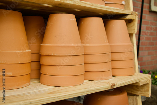 Rustic Terracotta Pots with Plants in a Sunlit Garden Setting