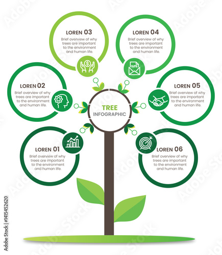 Tree Infographic Overview Of The Importance Of Trees For The Environment, Infographic Template With Icons And Option.