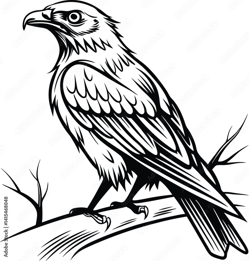 Fototapeta premium vector illustration of an eagle