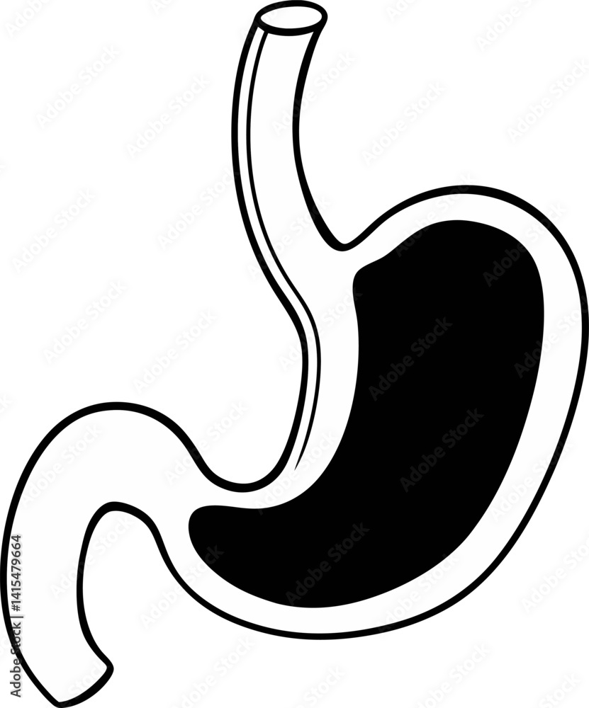 Stomach Icon On White Background Vector Art Stomach Icon On White Background Vector Art