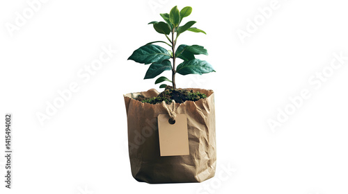 Plant in paper bag cover with tag, rustic aesthetic --ar 16:9 --s 250