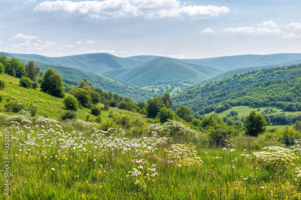 This image depicts a lush, green landscape with rolling hills covered in trees and flowers