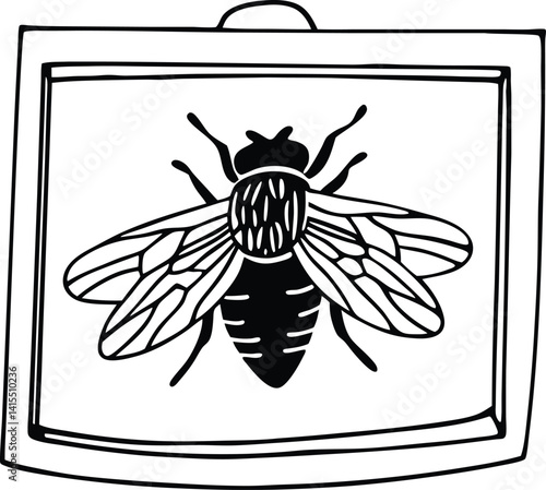 black and white shield