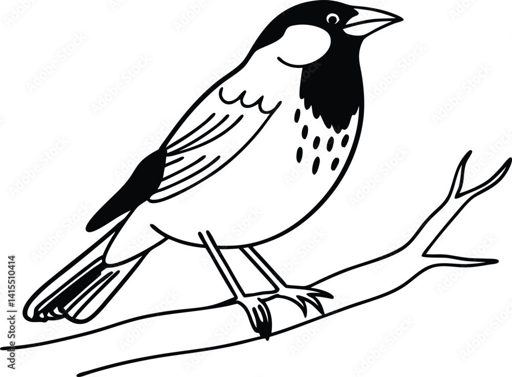 Fototapeta premium bird on a branch