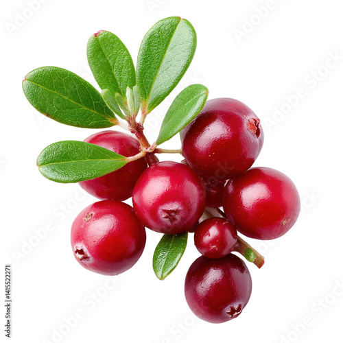 Fresh Cranberries with Green Leaves Displayed, png element with transparency