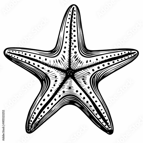 Detailed Vintage Starfish Illustration for Marine Themed Designs