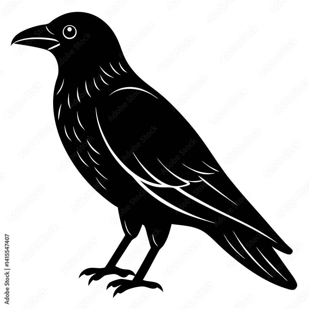 Obraz premium Animal Raven silhouette vector illustrator