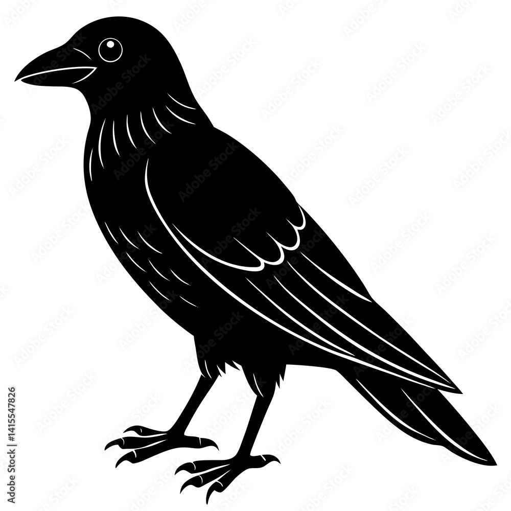 Fototapeta premium Animal Raven silhouette vector illustrator