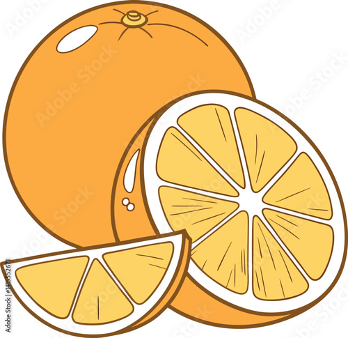 vector illustration of orange