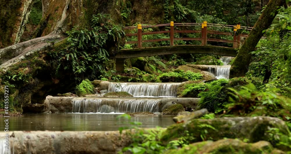 A beautiful river runs through the forest of the Sierra Gorda in Pinal de Amoles, Querétaro, Mexico. A beautiful river runs through the forest of the Sierra Gorda in Pinal de Amoles, Querétaro, Mexico.