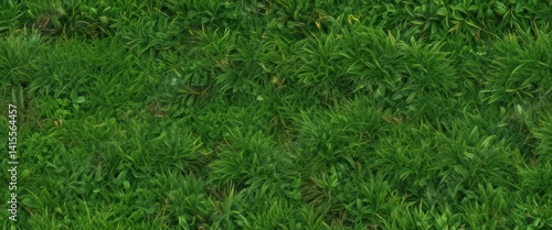 Vibrant green grass border, seamless vector pattern  Ideal for spring designs ,  border,  green,  wallpaper