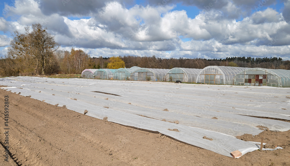 Organic farm with polytunnels and agrotextile covering vegetable beds.