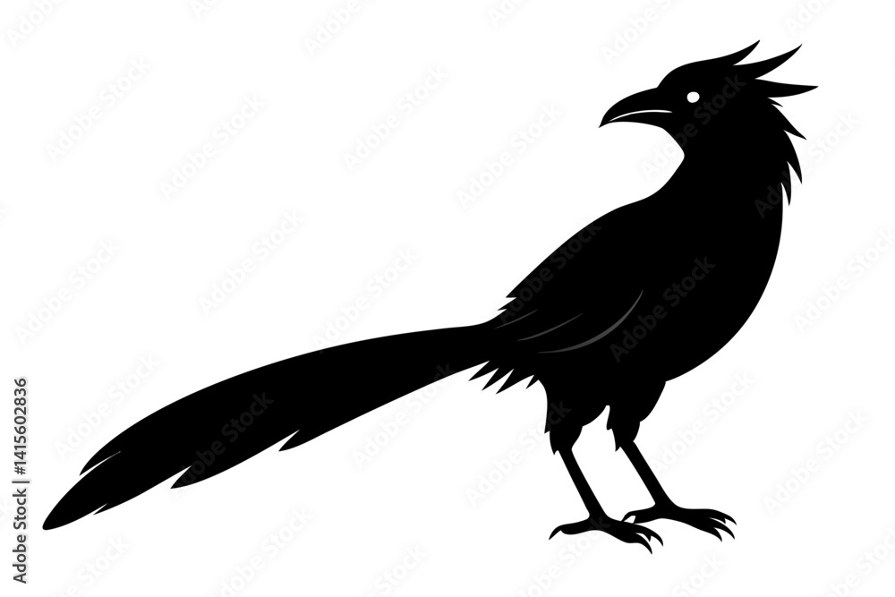 Obraz premium Greater coucal silhouette black vector