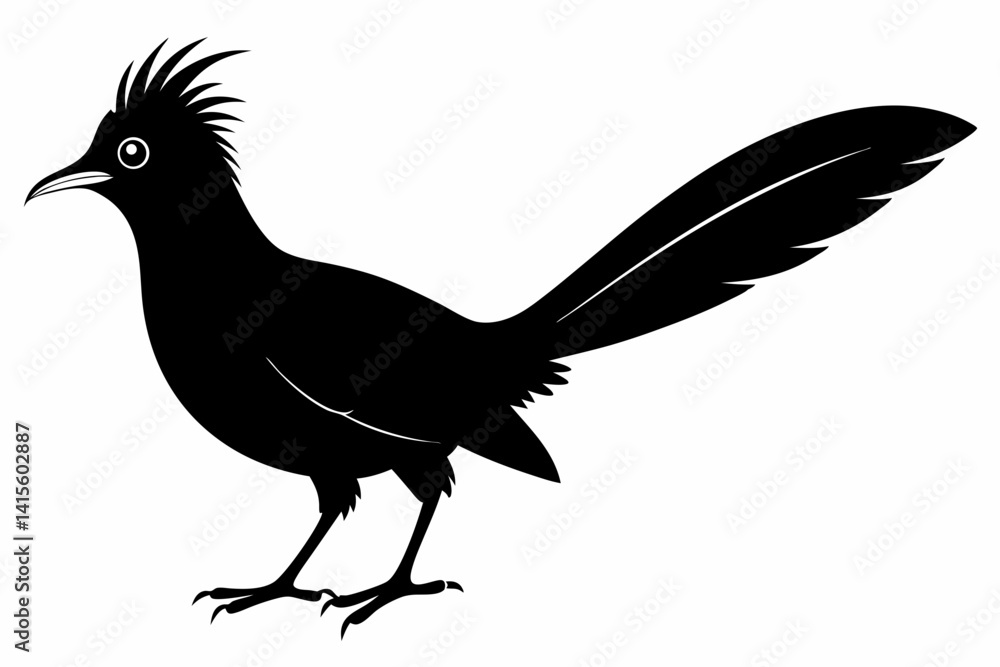 Obraz premium Greater coucal silhouette black vector