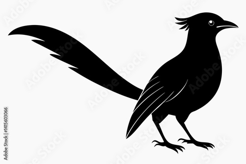Greater coucal silhouette black vector
