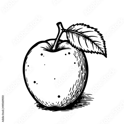 Hand-drawn apple illustration on white background  