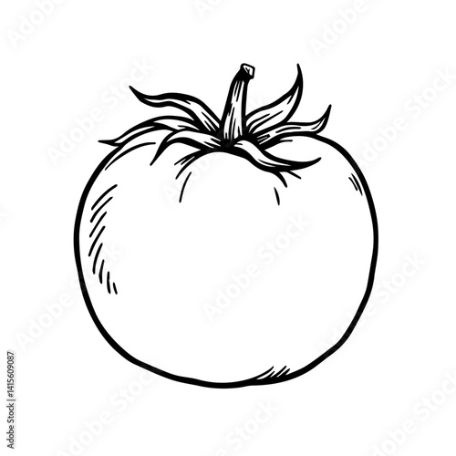 Hand-drawn tomato illustration in black and white style  
