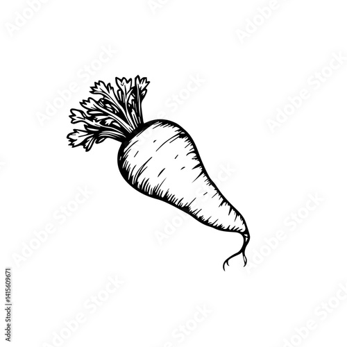 Hand-drawn carrot illustration on a white background  