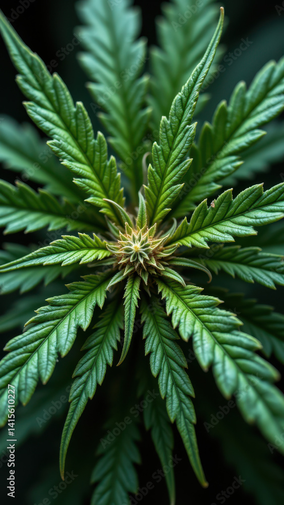 Close-up image of a THCA crystal on the surface of green cannabis leaves.