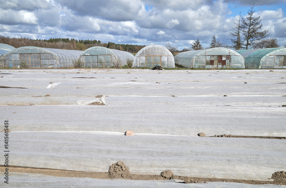 Organic farm with polytunnels and agrotextile covering vegetable beds.
