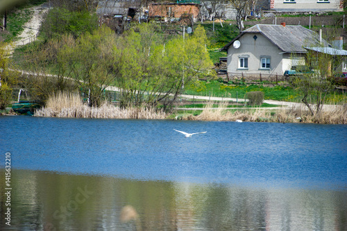 landscape with lake in Ivachiv Horishnii, Ternopil, Ukraine