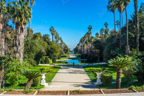 Algiers - Algeria, February 22, 2016: Botanical garden El-Hamma, jardin d'essai, One of the largest and most beautiful gardens in the world, Fountain and palm trees in Botanical garden El-Hamma.