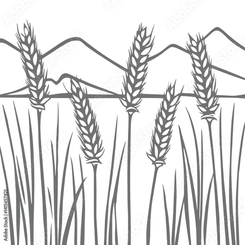 wheat ears isolated on white