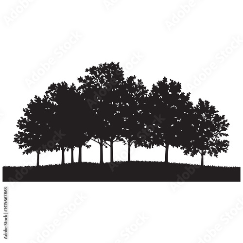 Pine trees silhouettes. Evergreen coniferous forest silhouette, nature spruce tree park view vector illustration. Coniferous woods silhouette