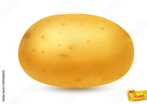High-quality vector illustration of a fresh yellow potato with natural texture and soft shadow. Isolated on white background. Ideal for food packaging, farming, cooking, and healthy eating concepts