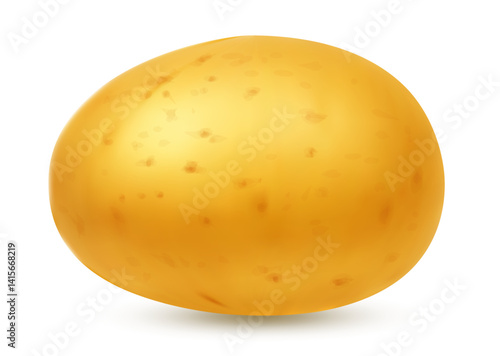 High-quality vector illustration of a fresh yellow potato with natural texture and soft shadow. Isolated on white background. Ideal for food packaging, farming, cooking, and healthy eating concepts