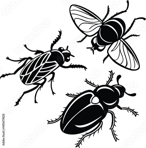 set of insects , insect species, pollinators, insect population