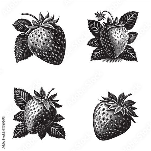 Realistic Hand-Drawn Strawberry Illustrations – Botanical Black and White Sketch Set