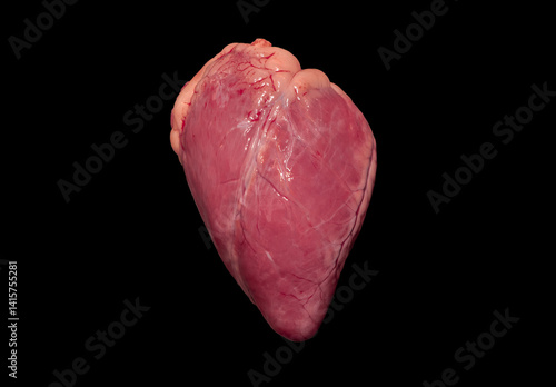 Obraz na płótnie Close-up of an animal heart on a black background w salonie