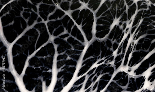 Obraz na płótnie Close-up of a membrane that covers internal organs - Visceral peritoneum w salonie