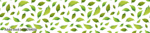 Tea leaves horizontal seamless pattern isolated on white background, mint leaf for long banner, eco package, spring summer fabric fresh print, balm health pharmacy, botanical design, ecology nature