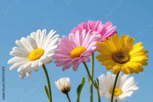 A bouquet of flowers with a blue sky in the background. The flowers are of different colors, including white, pink, yellow, and purple. The arrangement is vibrant and cheerful