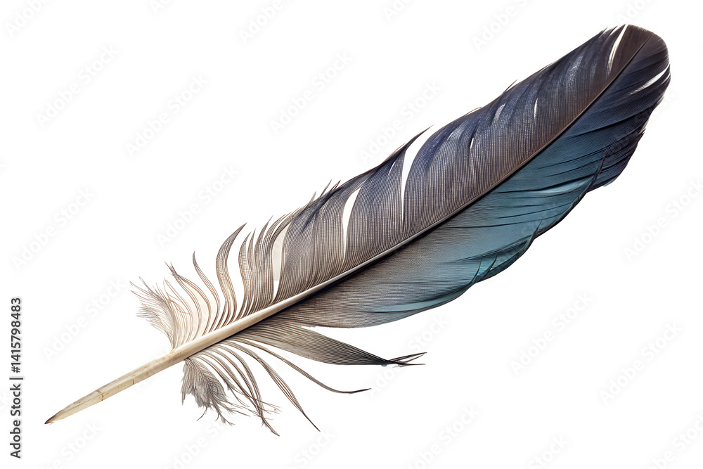 Fototapeta premium Colorful Bird Feather Close-Up