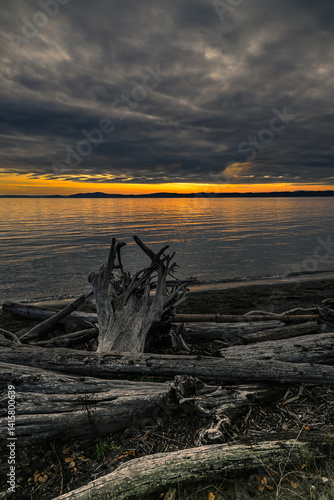 Obraz na płótnie Sunset at the Discovery Park in Seattle, WA w salonie